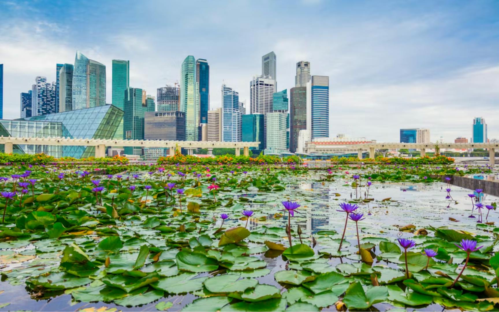 Sustainability consultancy Adelie opens Asia office in Singapore