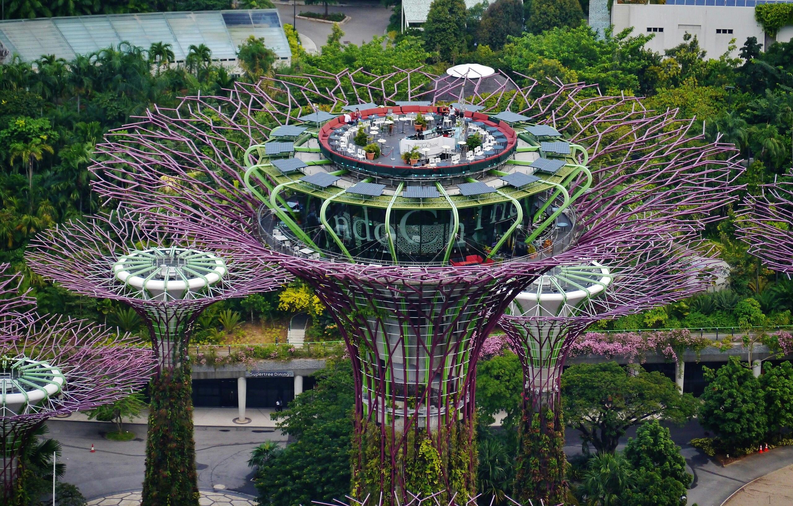 Solar panels on top of supertrees in Singapore