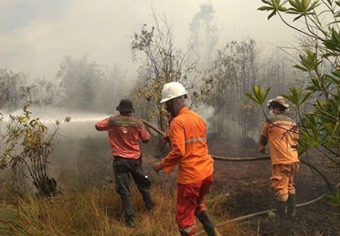 Fire fighters tackle forest fires in Sumatra, Indonesia Image: Sipongi