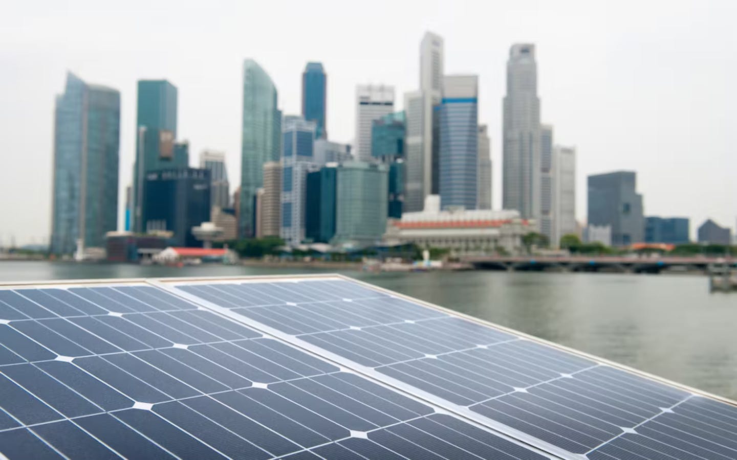 Severe financial impact': Singapore solar panel providers alarmed by  rooftop fire safety rules | News | Eco-Business | Asia Pacific