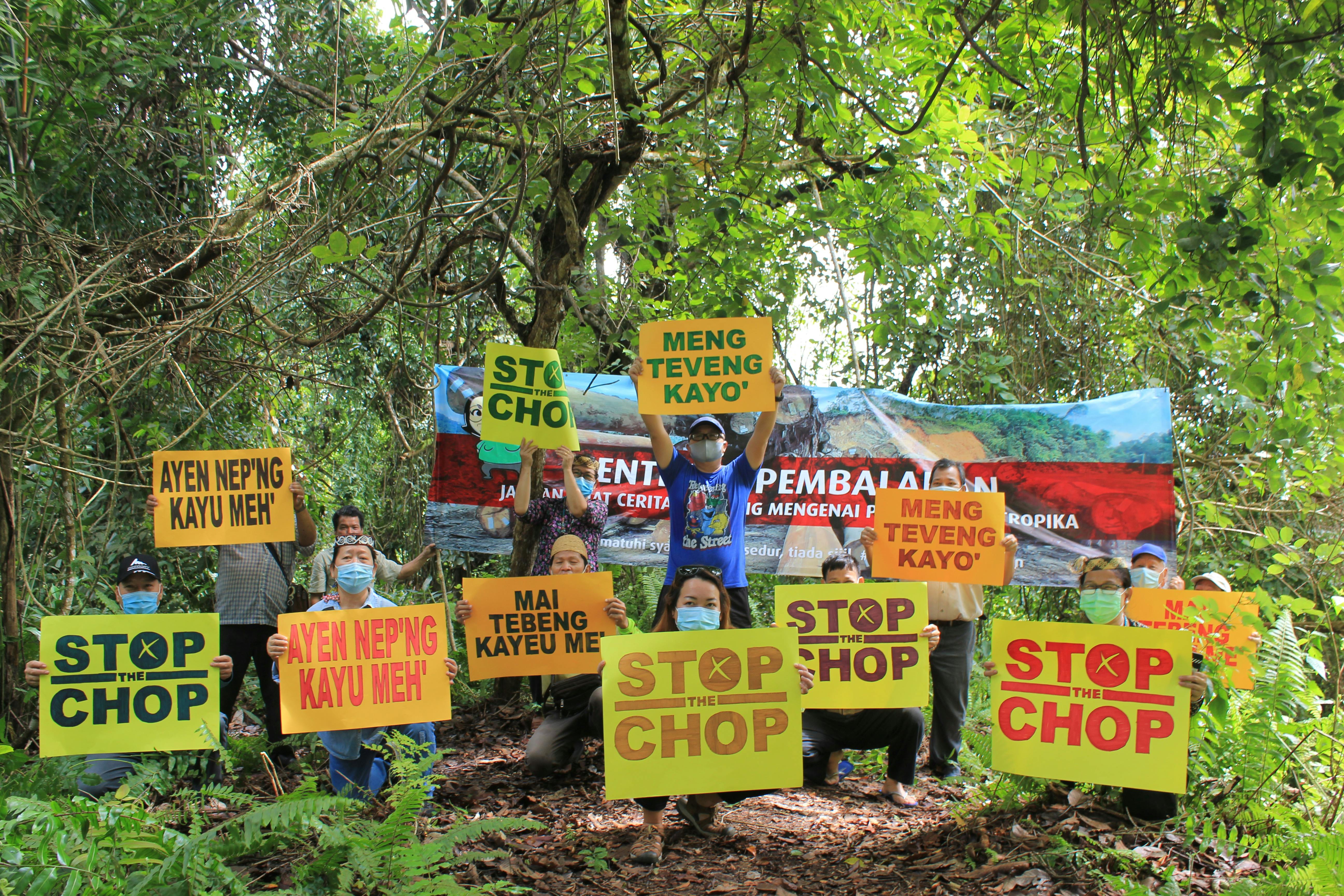 'Stop the chop': Demonstrators rally against deforestation in Sarawak, Malaysia