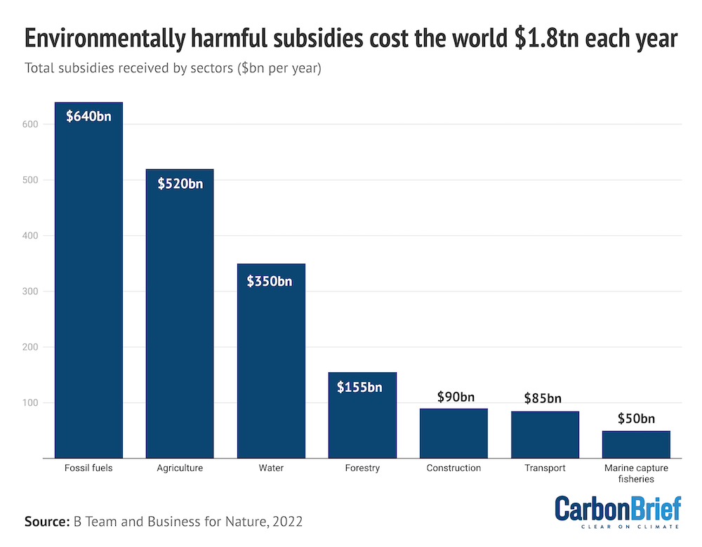 Q&A: How Can Countries Stop Subsidies Harming Biodiversity? | News ...