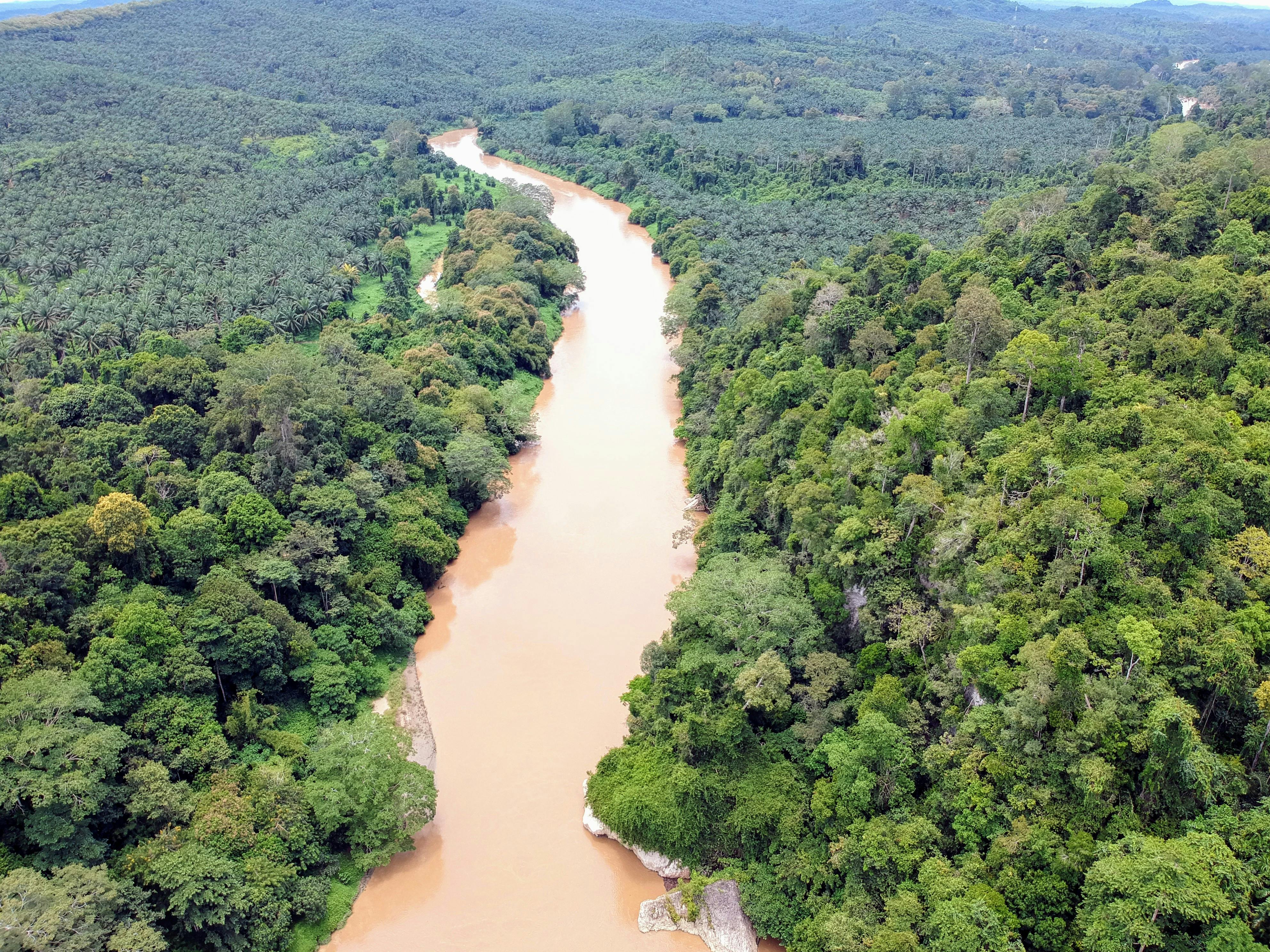 Segama River Sabah