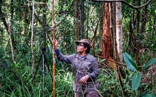 Tropical peat swamp forest carbon monitoring, Central Kalimantan