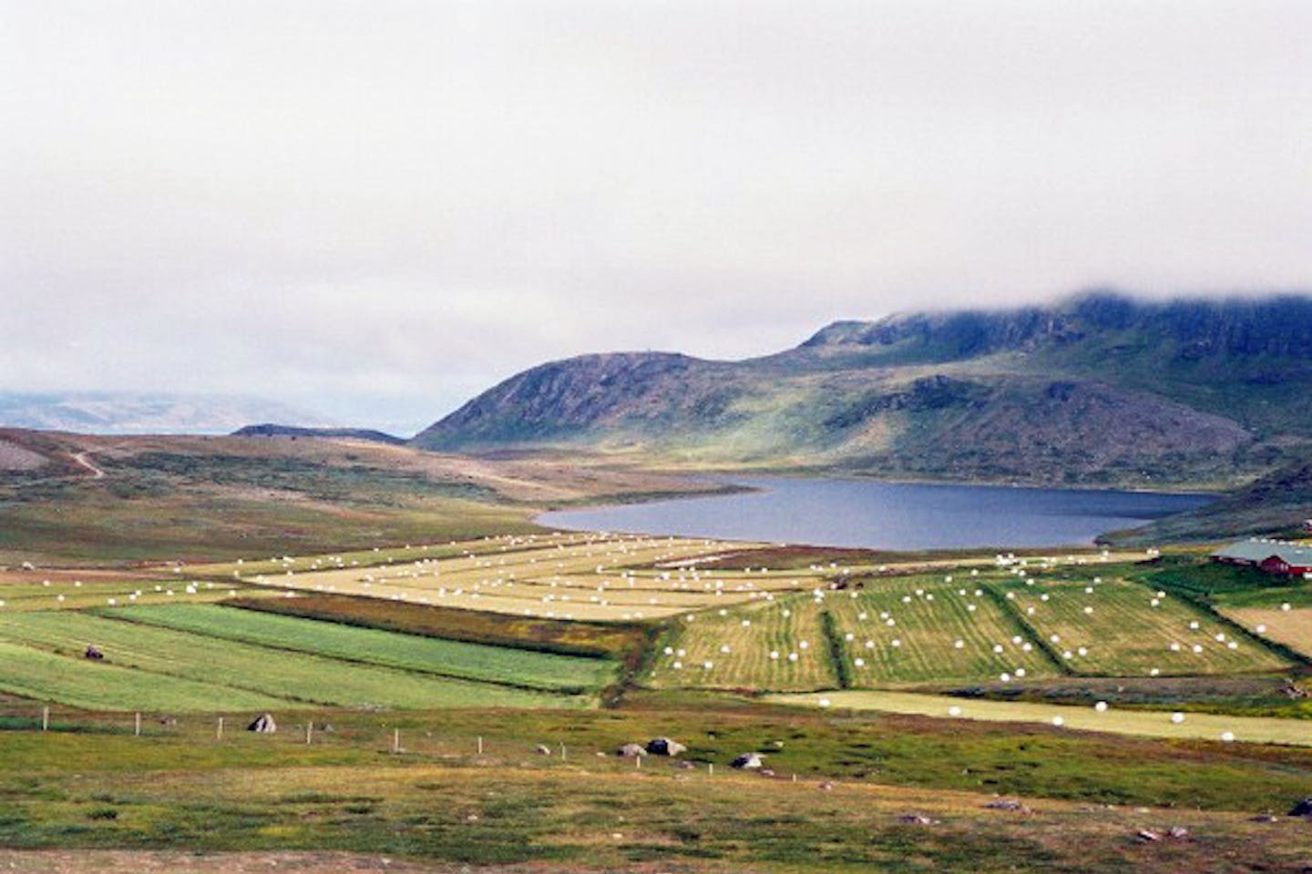 Vatnahverfi Greenland