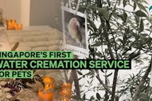 The greenest way to cremate your pet has launched in Singapore
