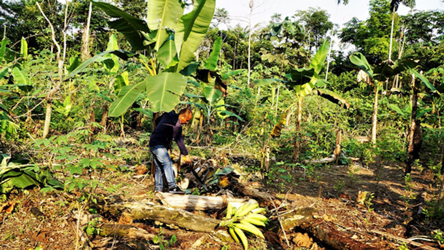 To protect the natural world, scientists must learn how to interact ...