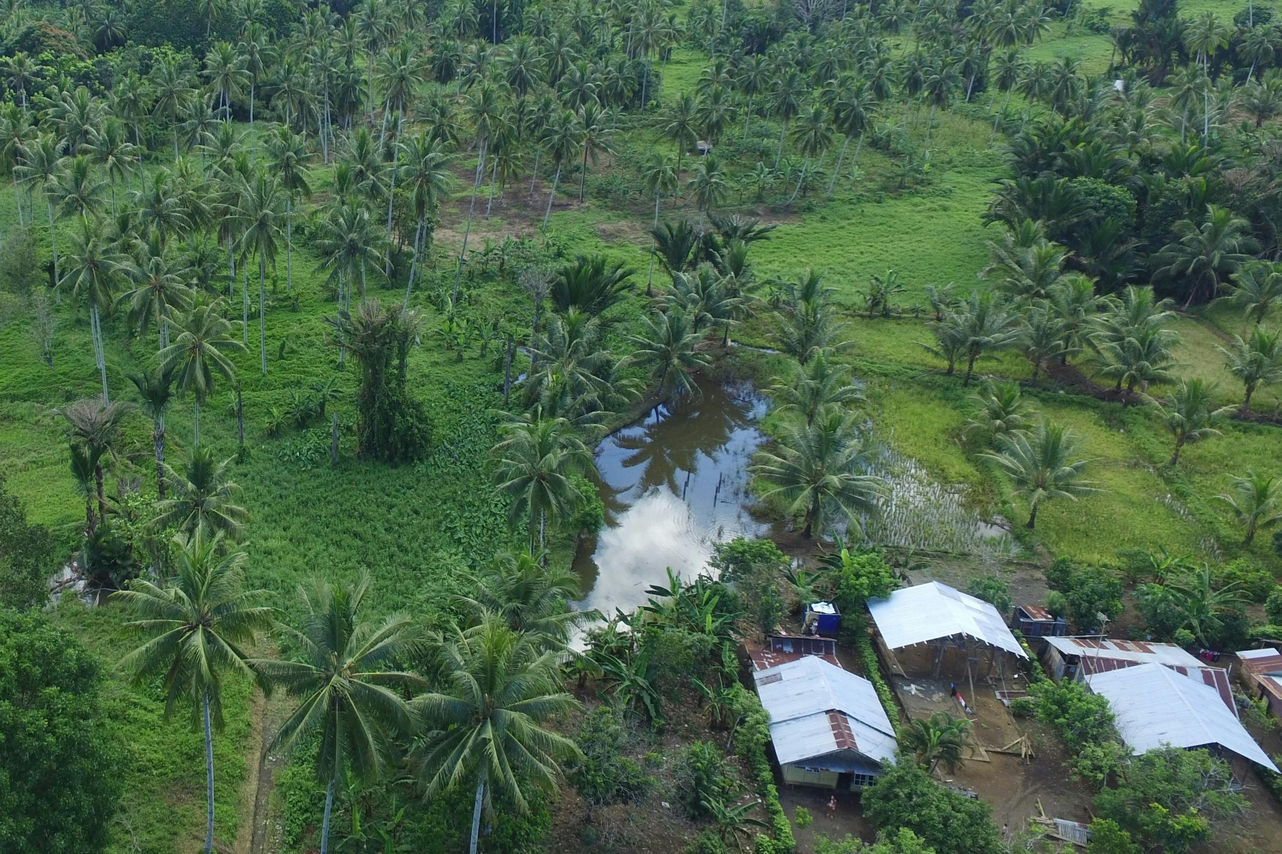 Wasian, Dimembe, North Minahasa Regency, North Sulawesi, Indonesia