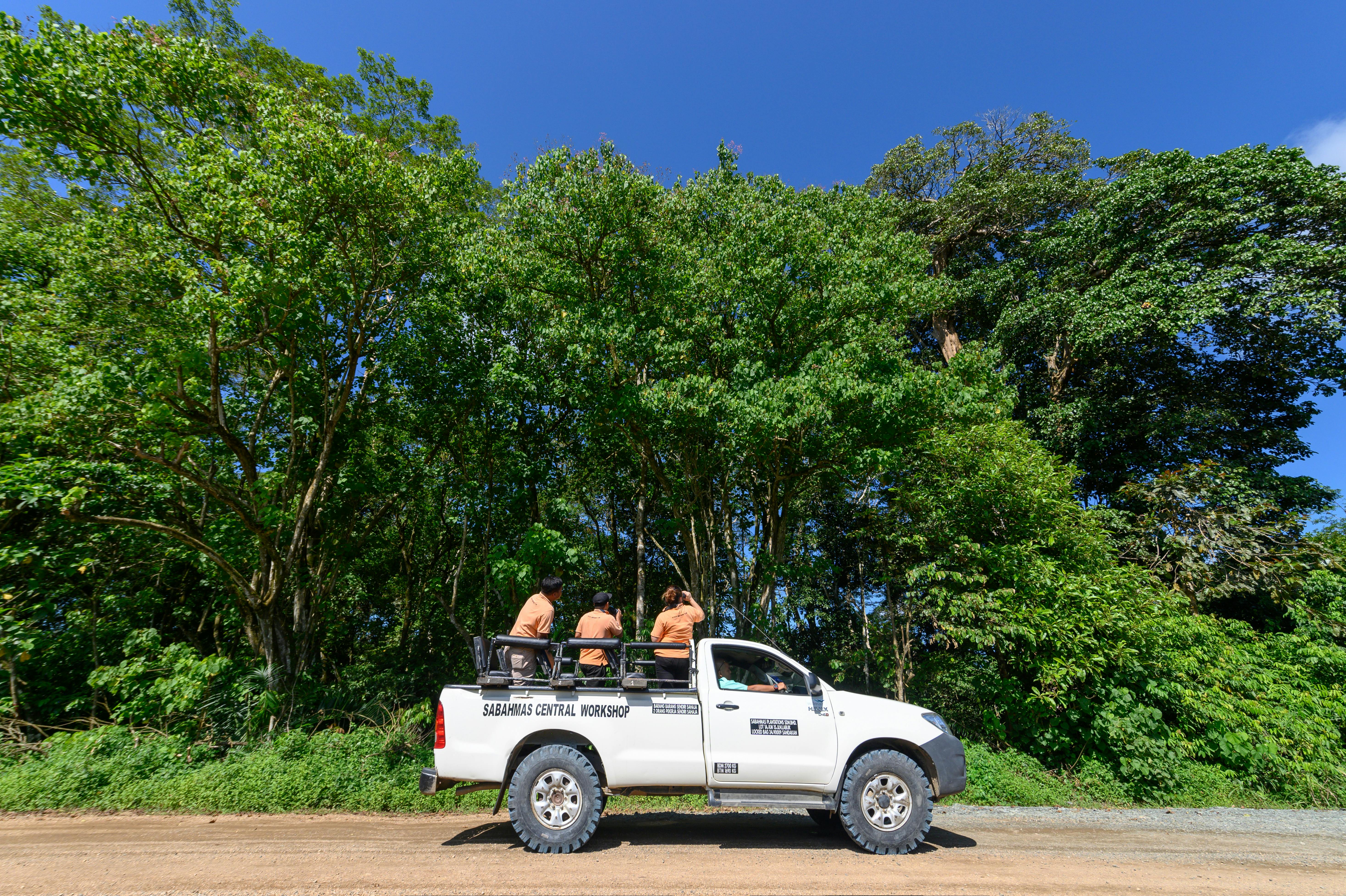Wilmar wildlife monitoring