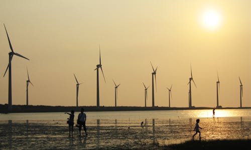 Proposed steep tariff cut risks disruption in Vietnam’s wind market, industry body warns