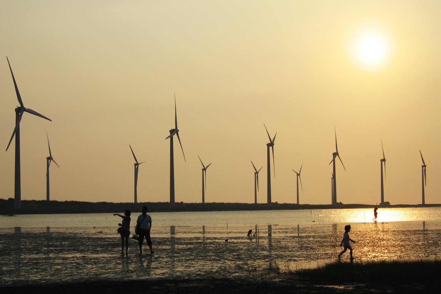 Wind farm1