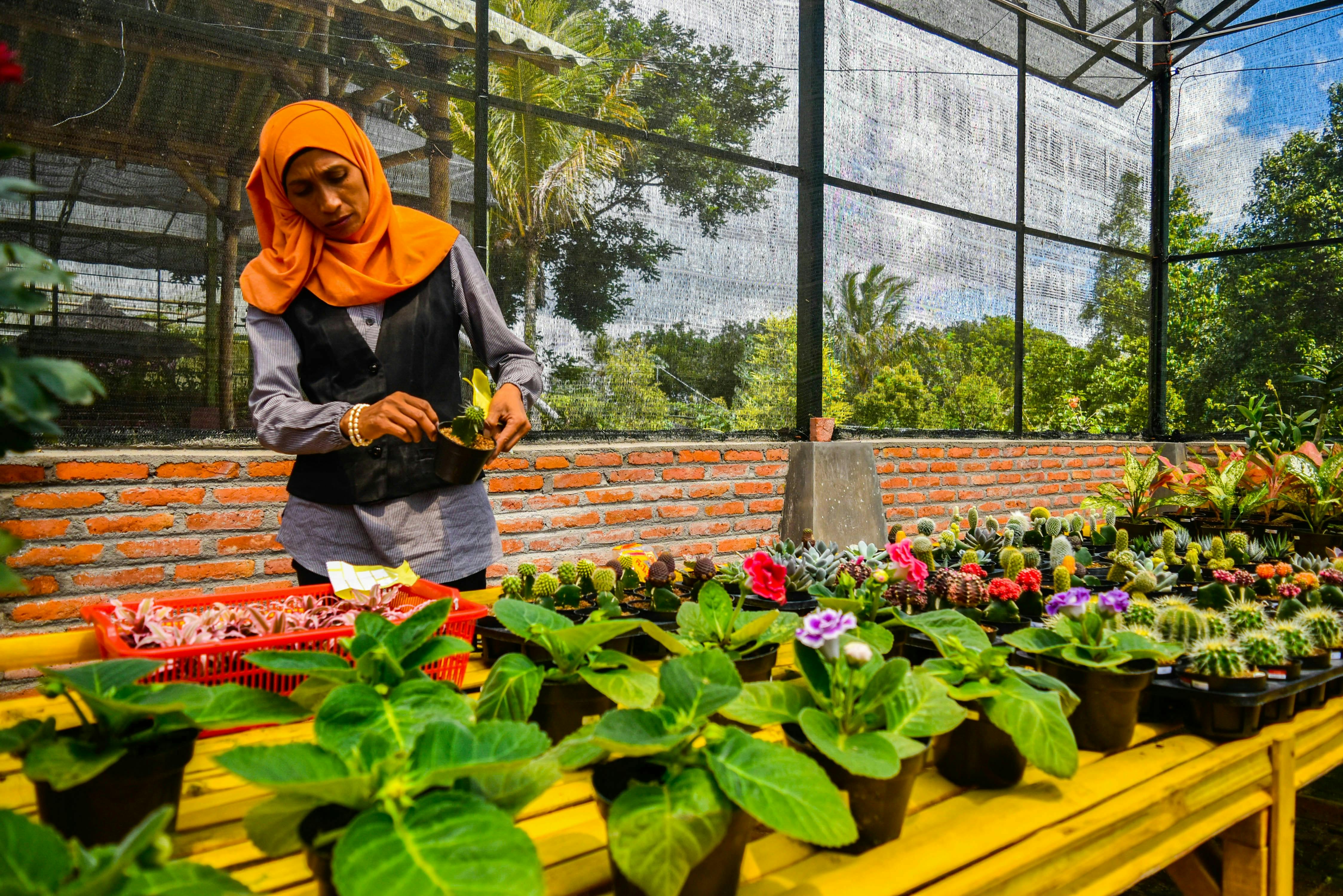 Indonesia_Woman_Plants