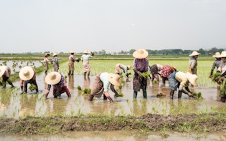 Myanmar_farm workers_women