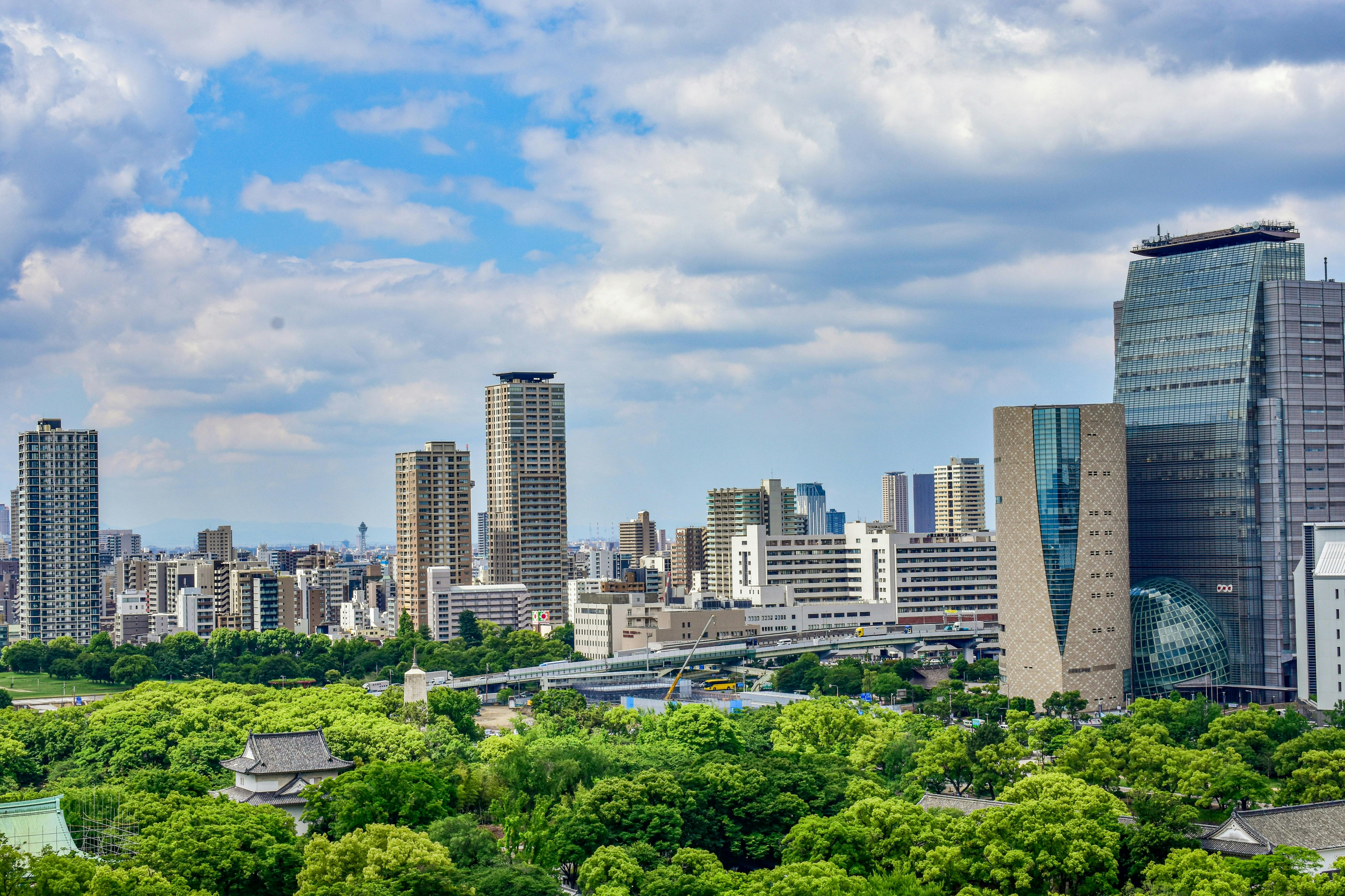 Osaka_Skyline_Trees