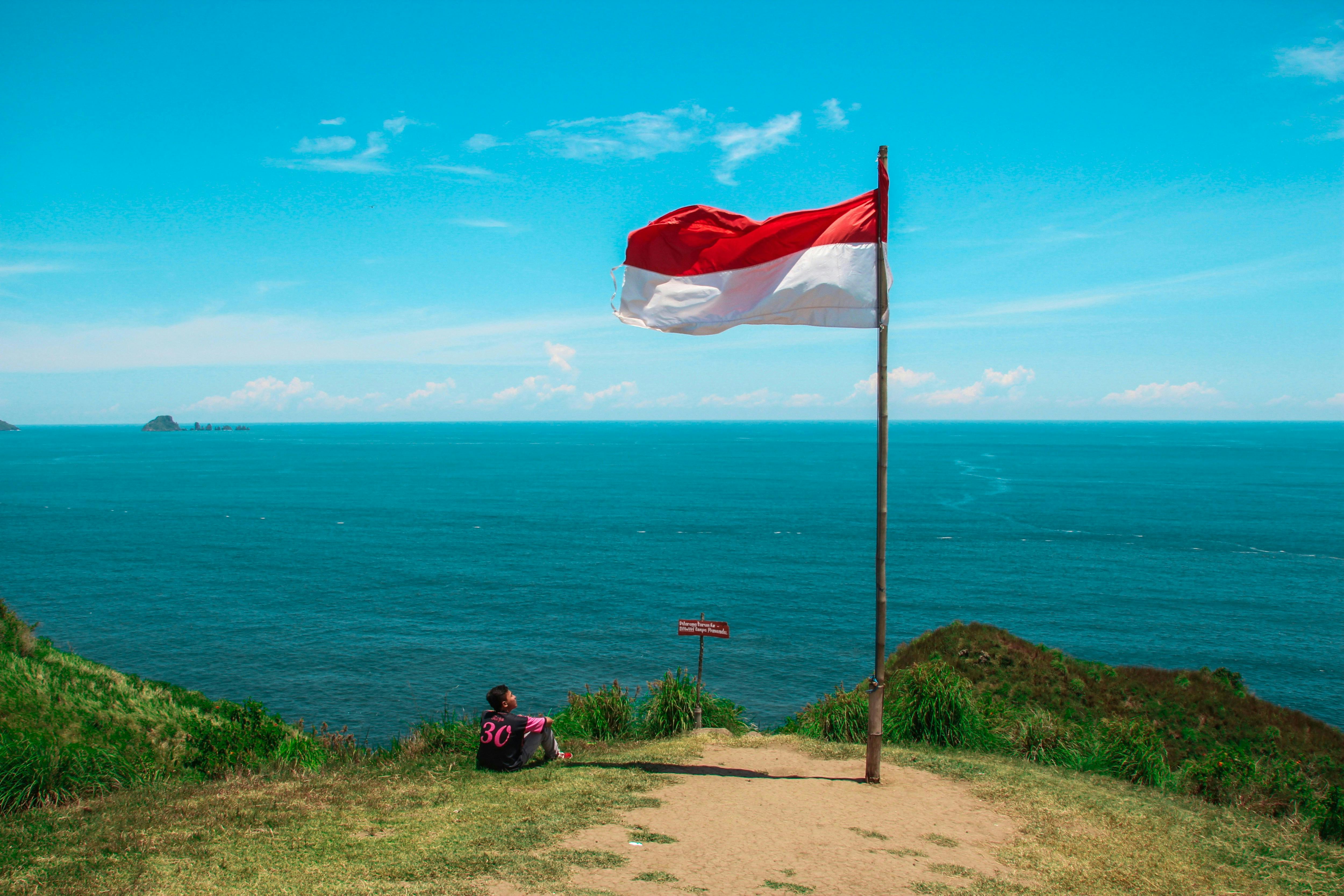 Indonesia_Decarbonisation_Governance