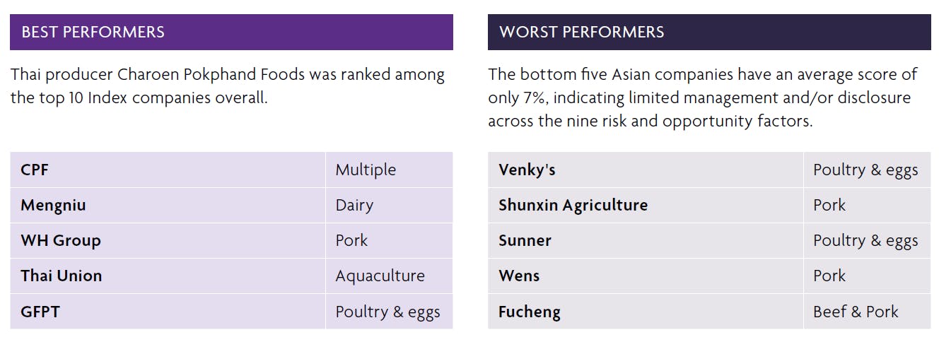 top and bottom asian animal protein producers