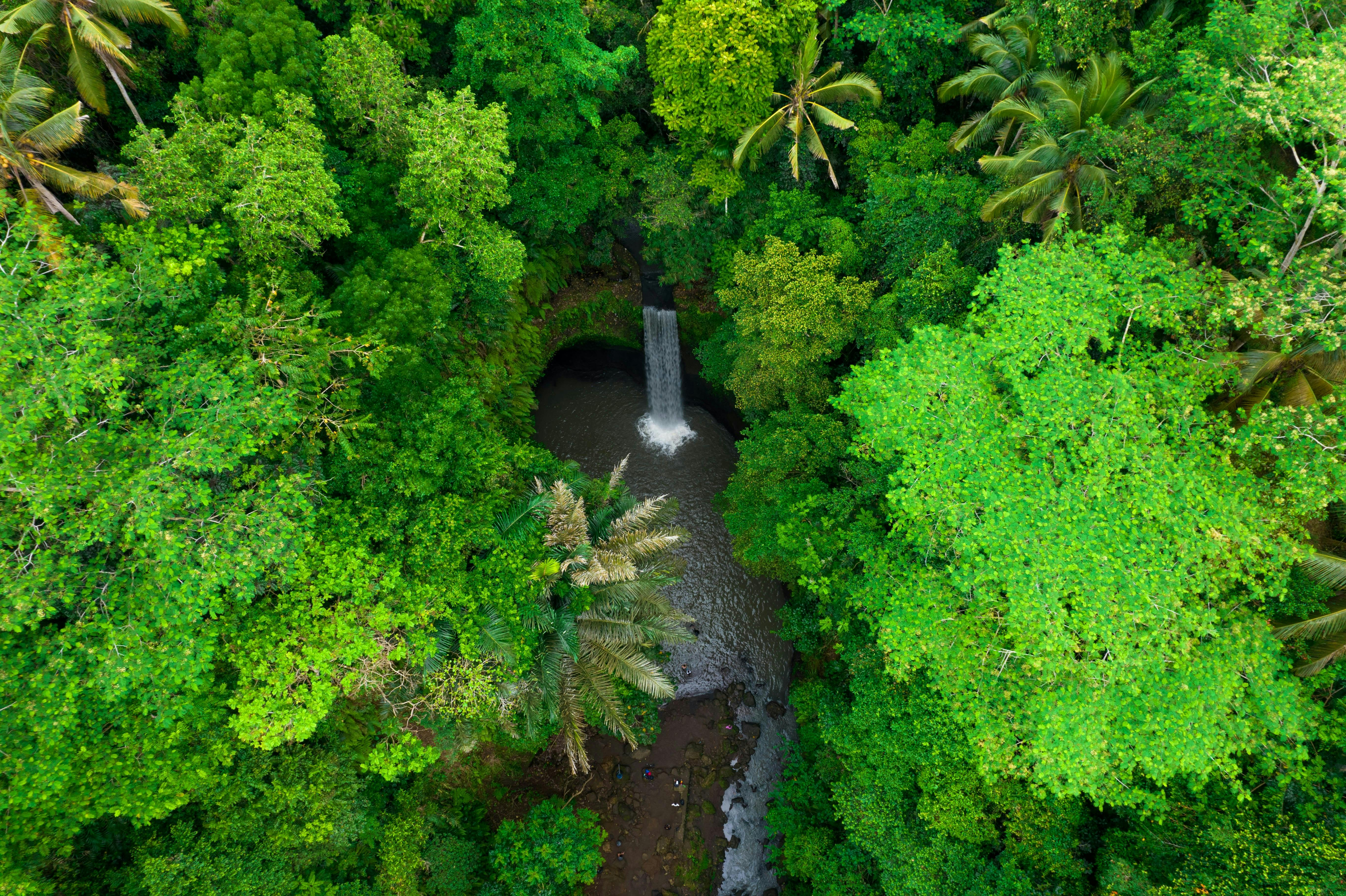 Forest_Waterfall_Bali_Indonesia