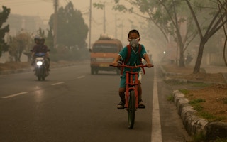 Haze_forest fire_Southeast Asia