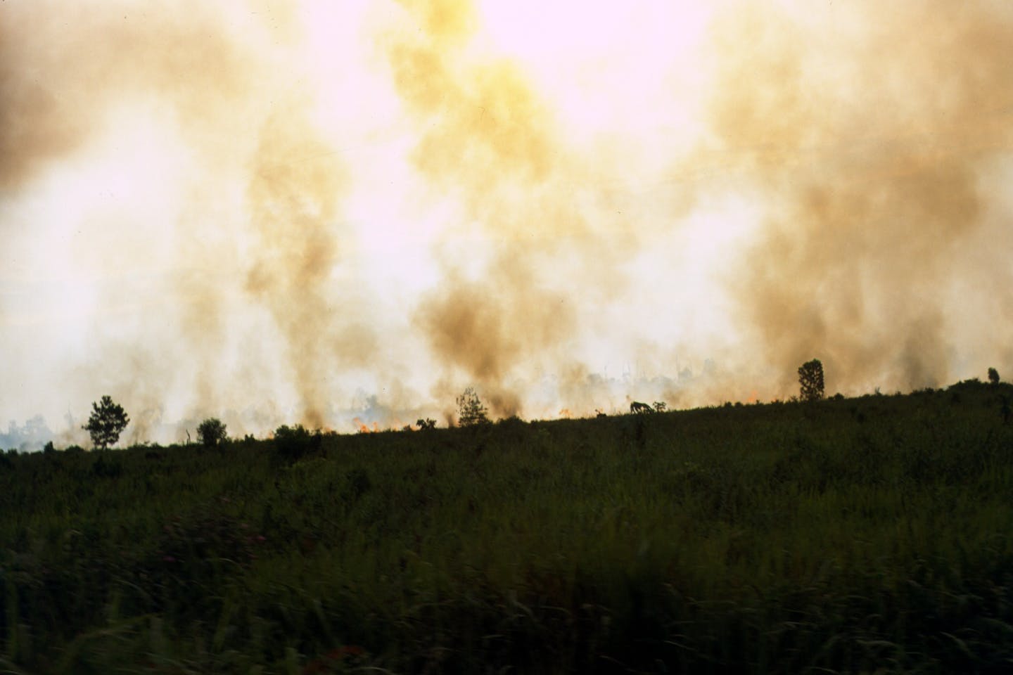 Burning peatlands in Indonesia