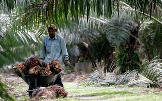 Can only western buyers afford sustainable palm oil?