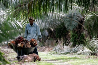 Can only western buyers afford sustainable palm oil?
