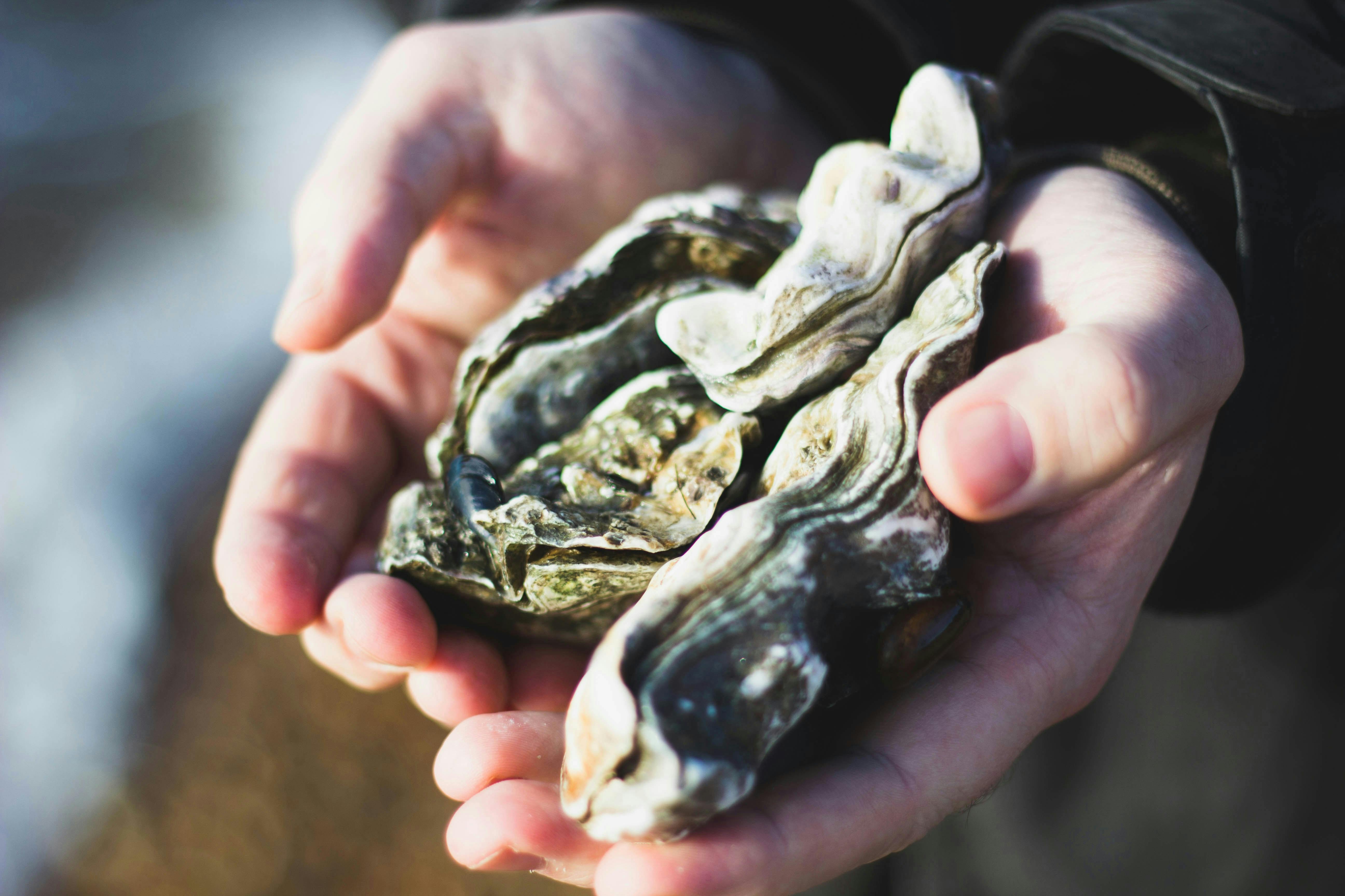 Oyster_Farmer_Hong_Kong
