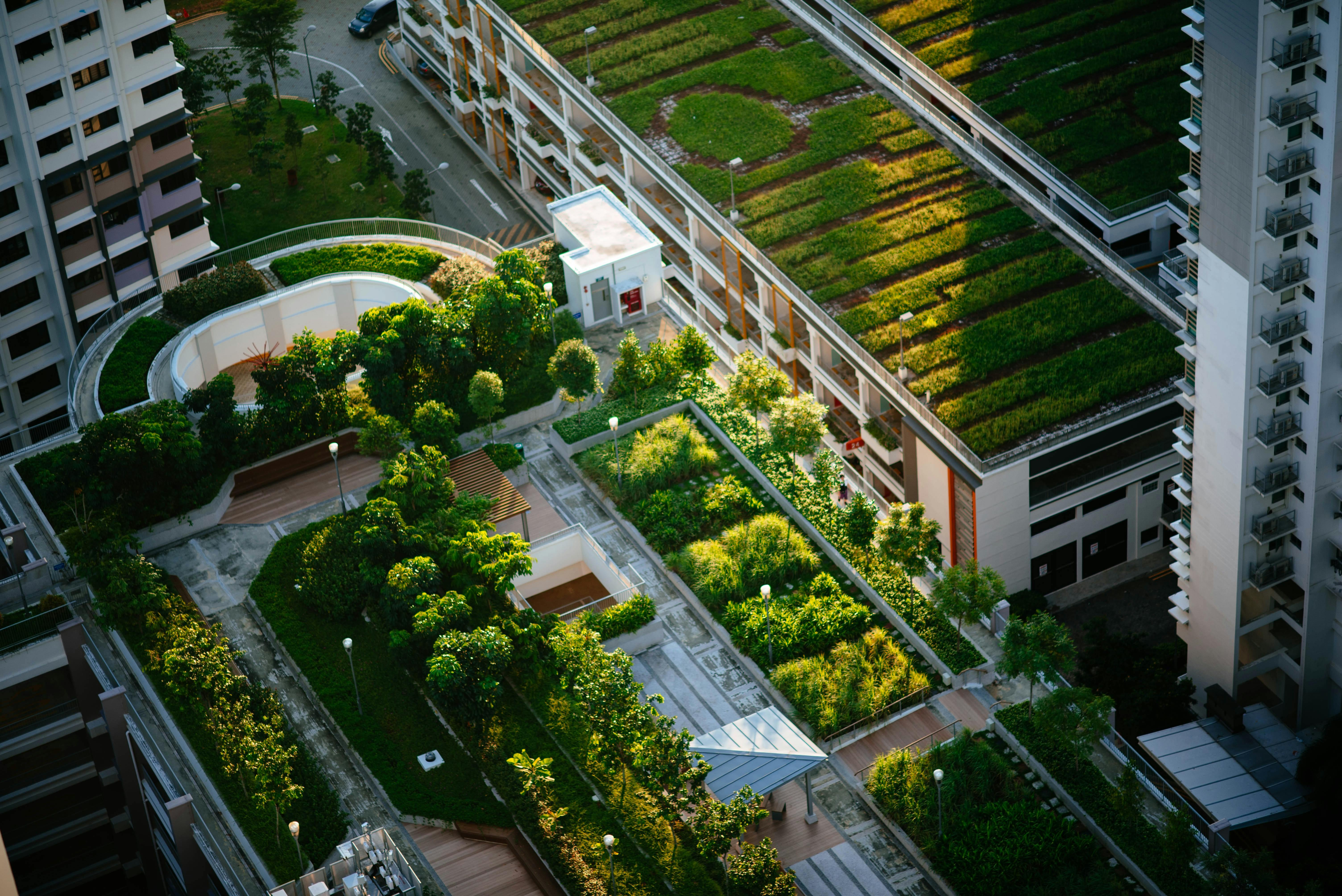 green infrastructure