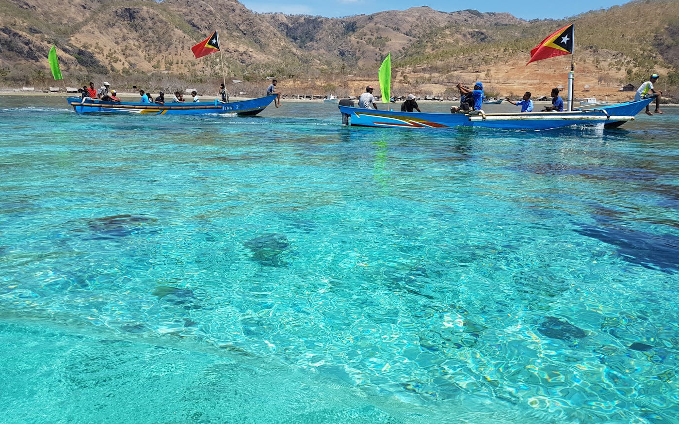 How ocean protection improves lives on land | News | Eco-Business