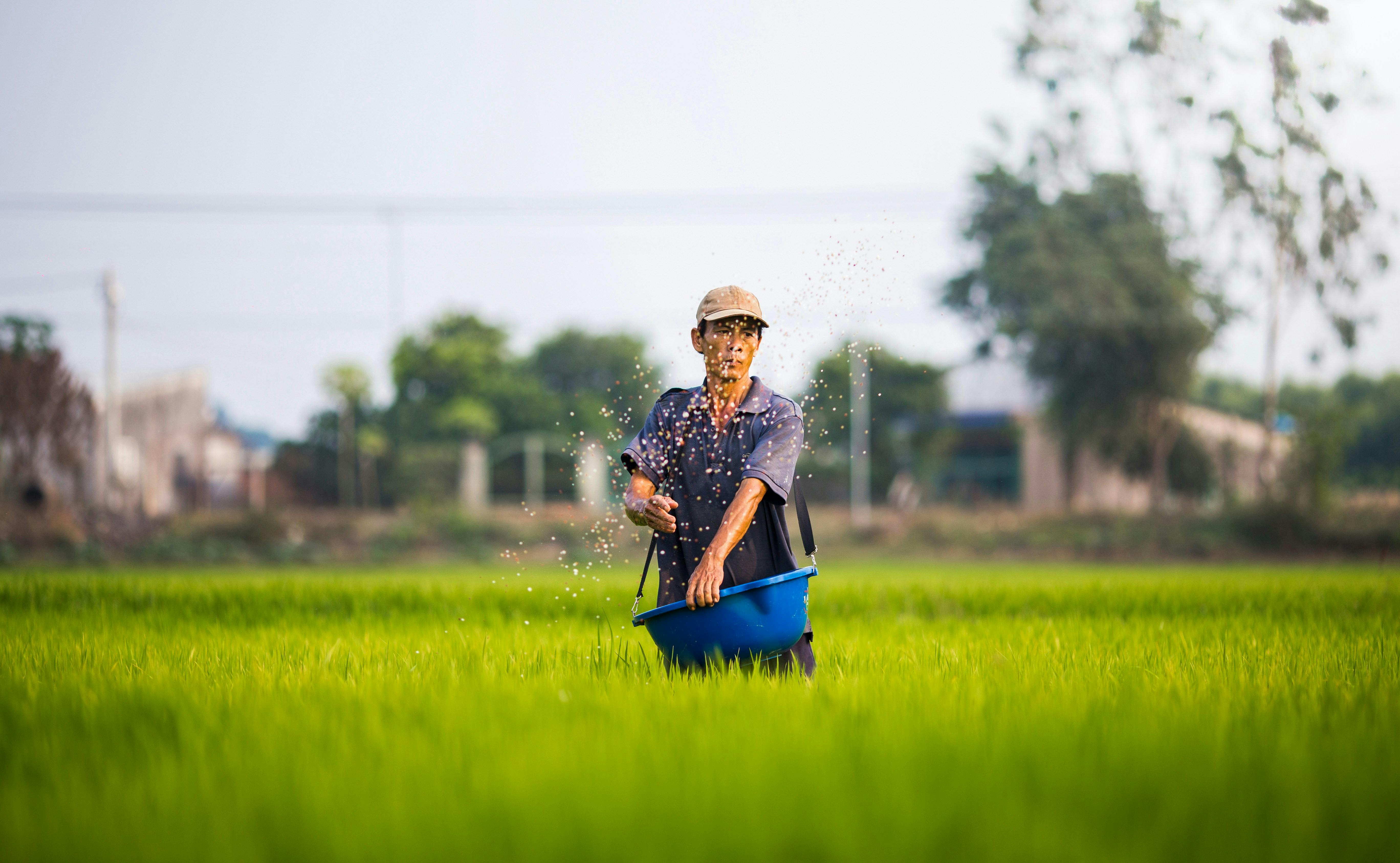Rice_Farmer_Vietnam_Mekong