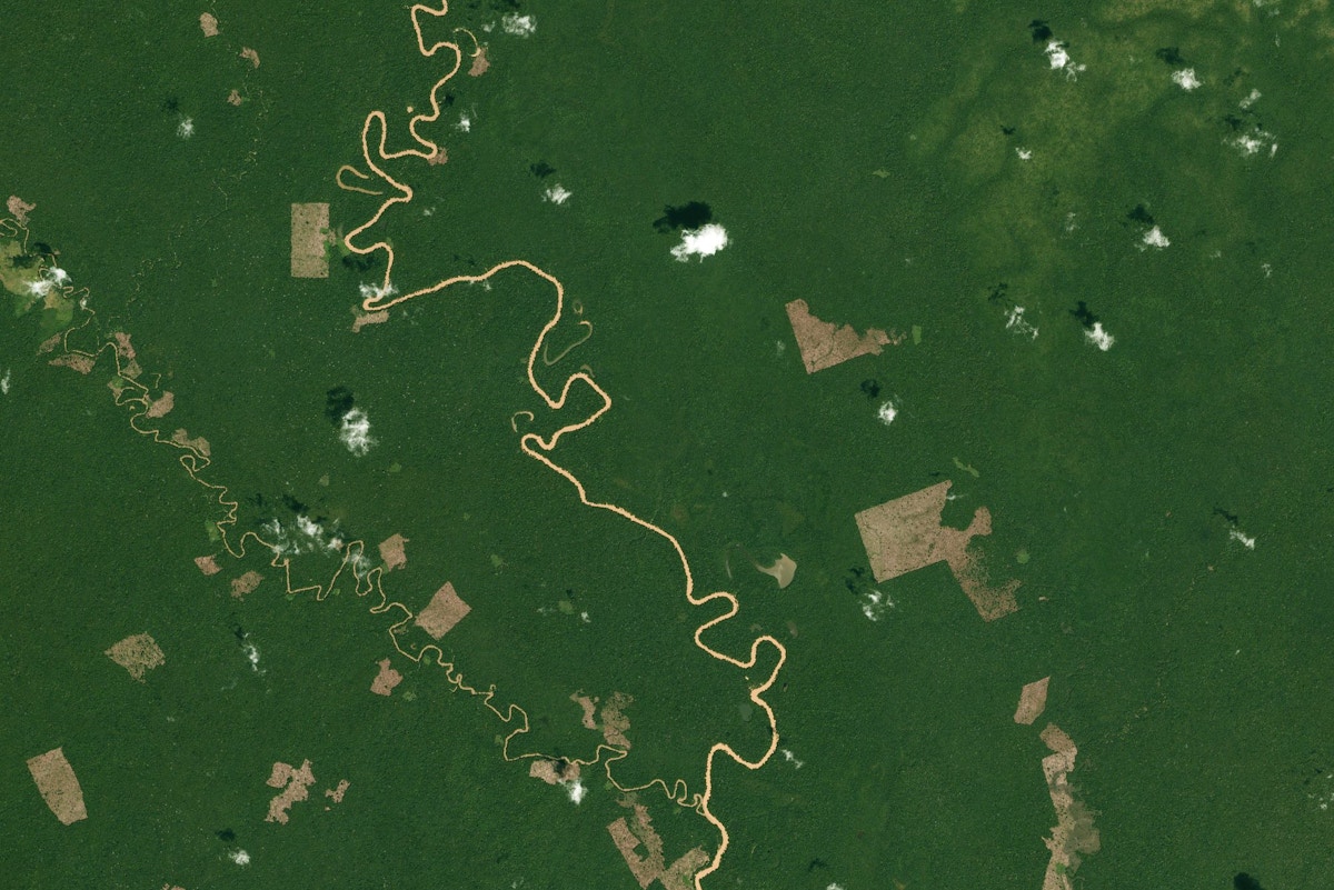 How better access to satellite imagery is helping fight deforestation