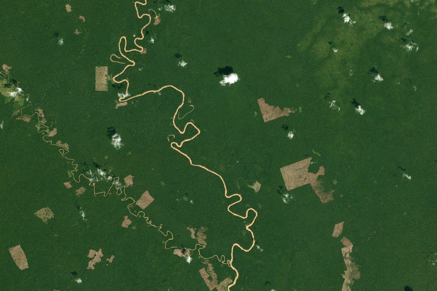 In the Colombian Amazon, PlanetScope images from December 13th, 2017, to January 16th, 2021, show changes in forest cover in and around Chiribiquete National Park (most of the area right of the Yarí River). Researchers with the Monitoring of the Andean Amazon Project (MAAP) describe this area as part of Colombia’s “arc of deforestation” and have been documenting the deforestation trends across the region over time.