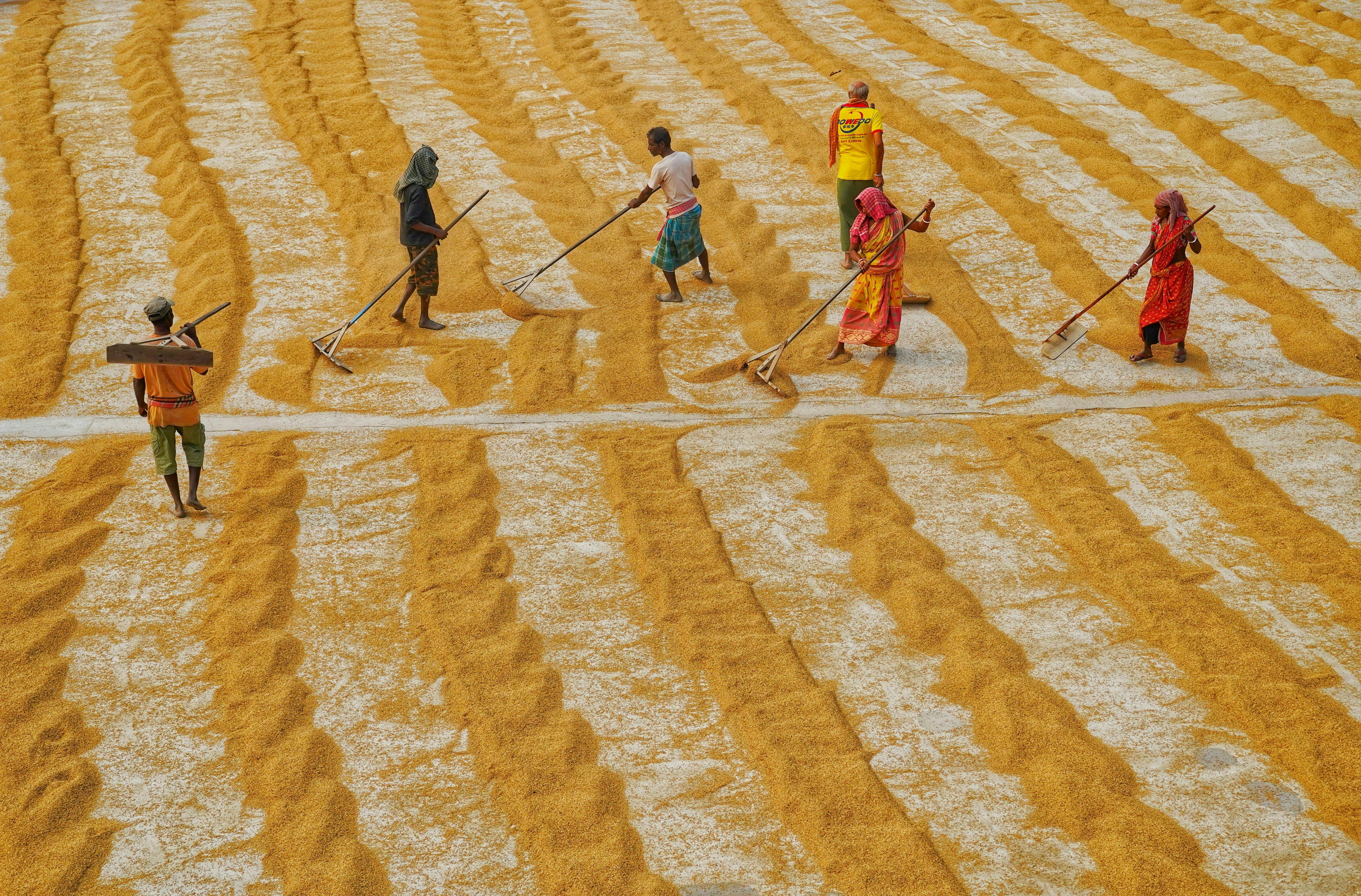 Water_Security_Farming_Bangladesh