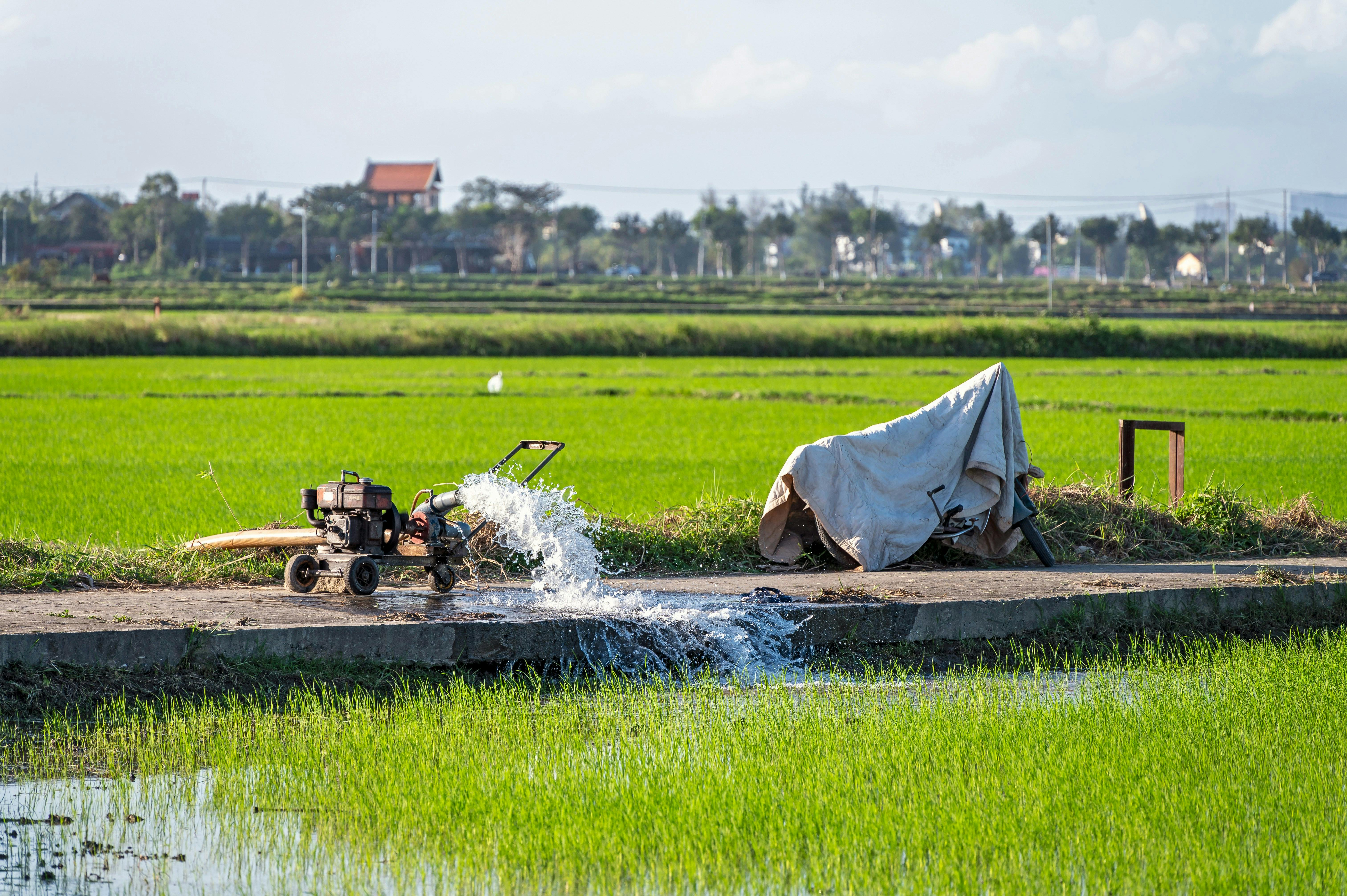 Agriculture continues to account for the largest share of water withdrawals across much of Asia.