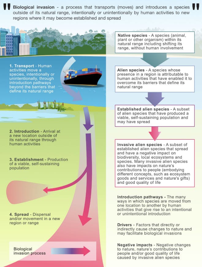 Q&A: Major Global Report Reveals How Climate, Land Use And Trade Drive ...