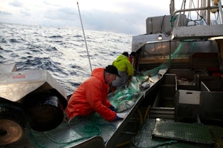 The Atlantic: the driving force behind ocean circulation and our taste for cod