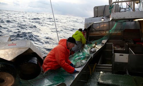 The Atlantic: The driving force behind ocean circulation and our taste for cod