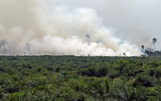 smoke in oil palm plantation at a peat swamp in Aceh province, Indonesia