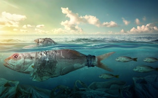 artist's rendition of a fish swimming in plastic litter in an ocean