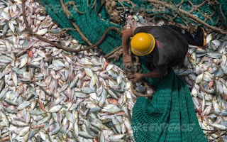 fishing subsidies social ecological harm