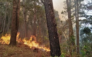 forest fires thailand 2020