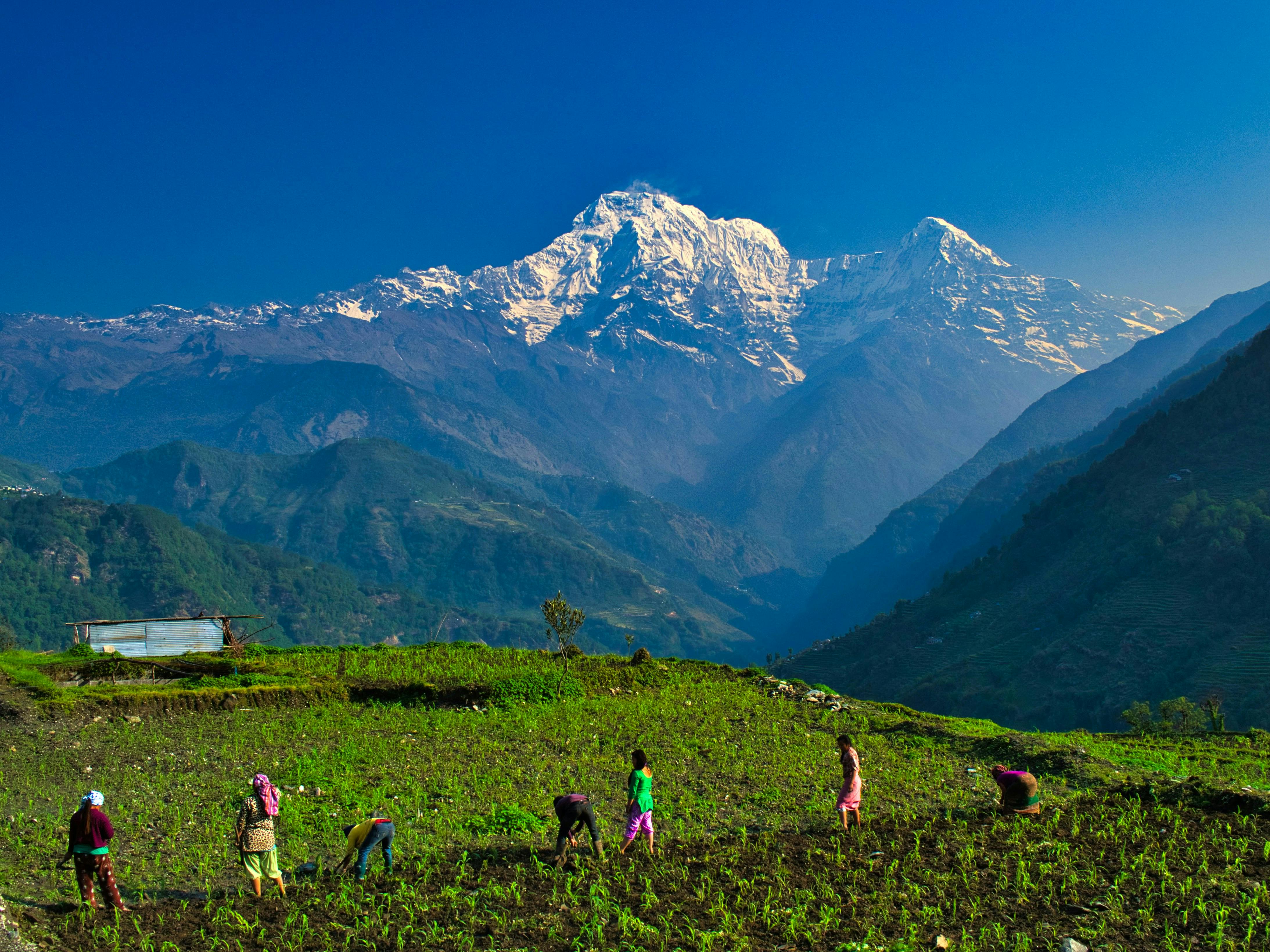 Rural_Farmers_Nepal
