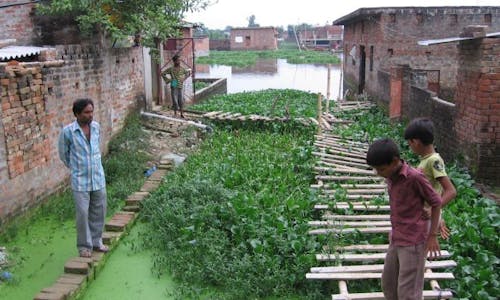 In Gorakhpur, citizens use nature to prevent floods 