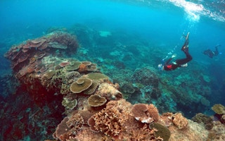 great barrier reef in danger