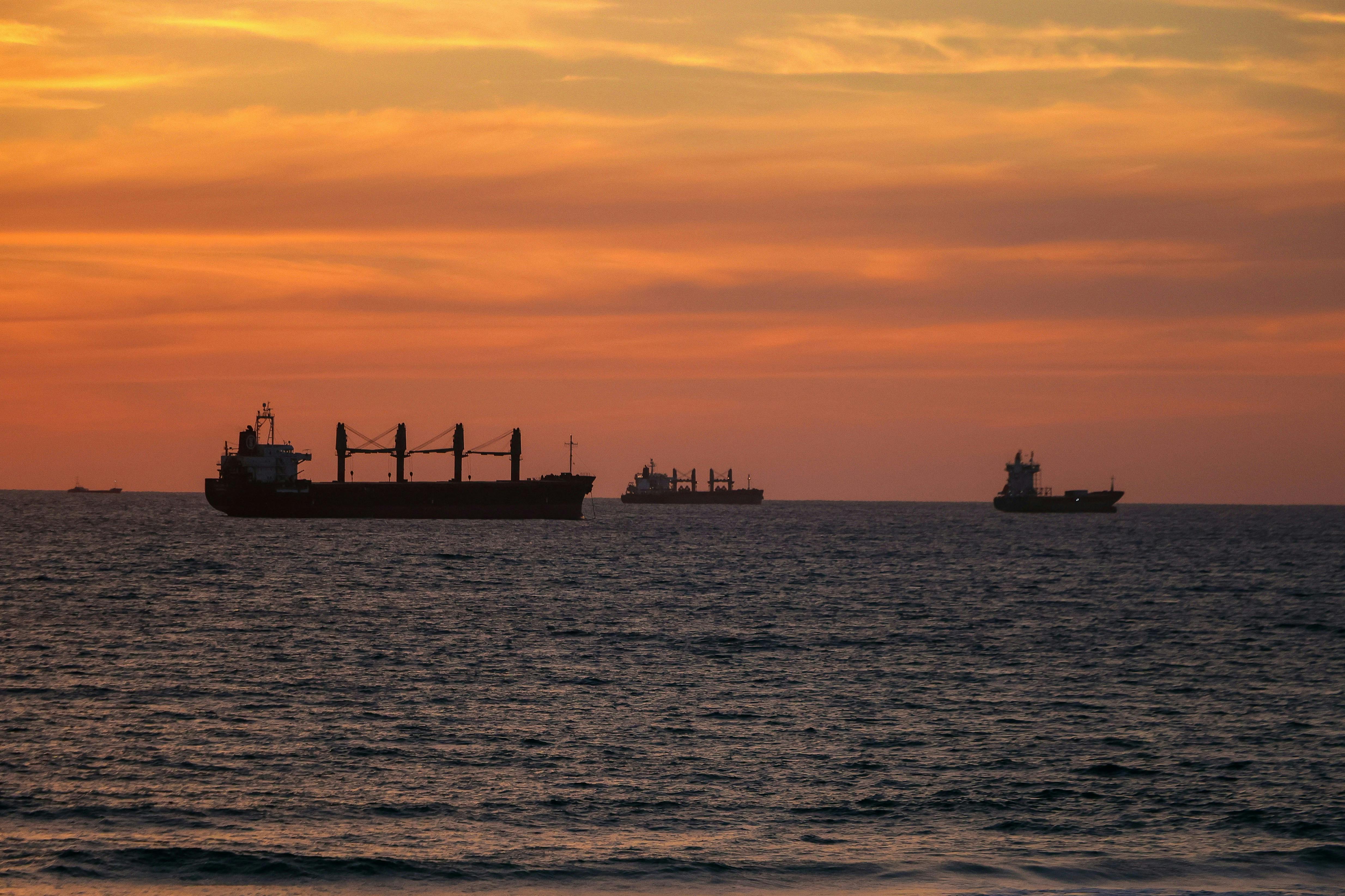 Dusk_Shipping_Fleet_Biosecurity