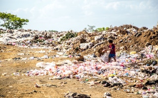 boy collects waste