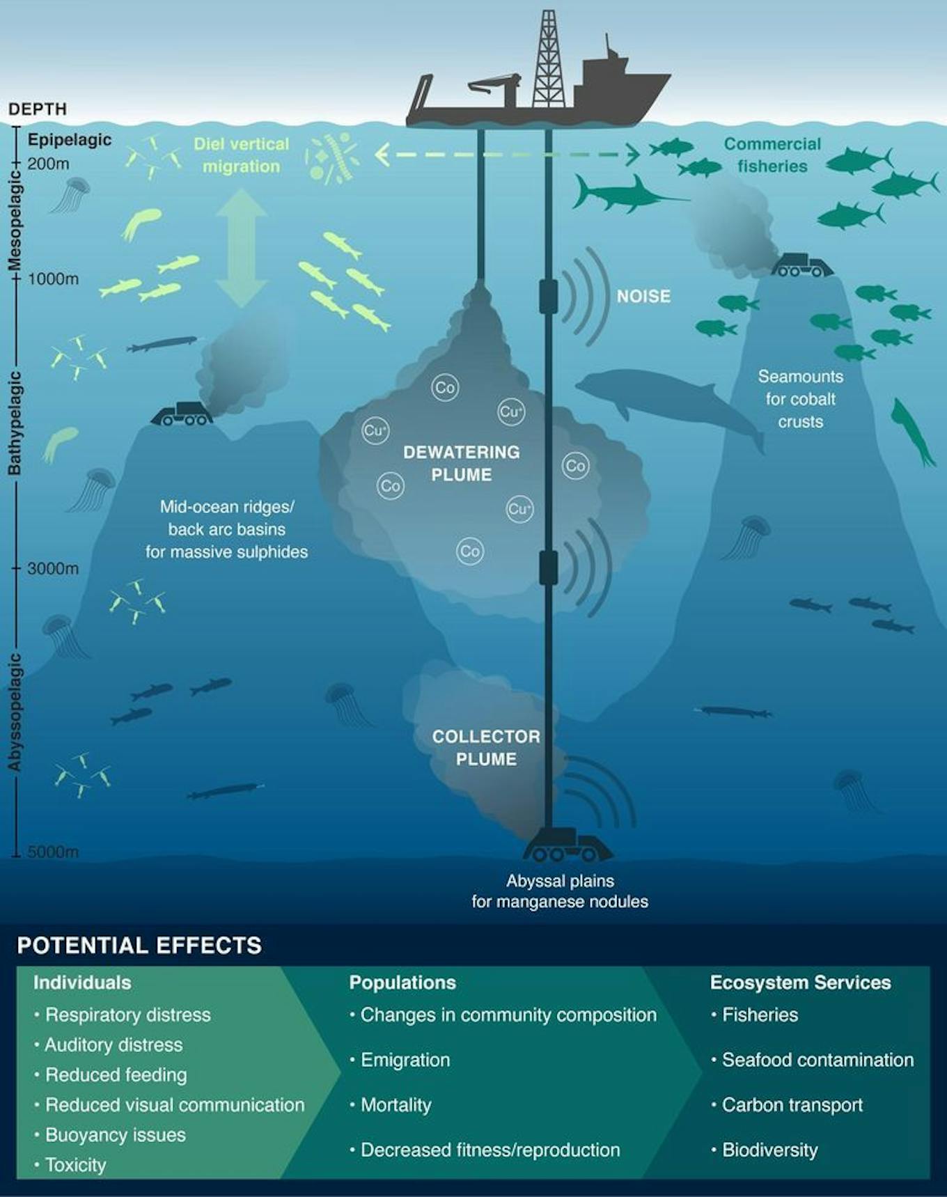 The impacts of deep-sea mining sediment plumes