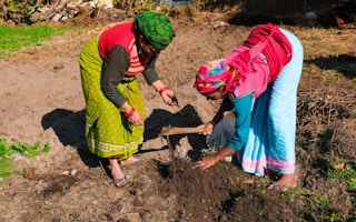 indian farmers women
