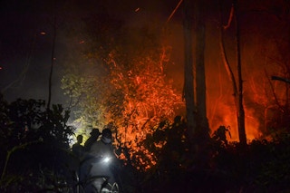 indonesia forest fires and Covid-19