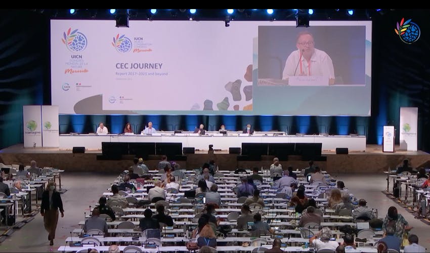 IUCN World Conservation Congress used a hybrid format for its 2021