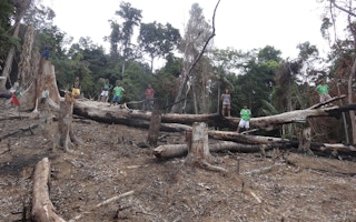 Slash and burn method of farming illegally done by non-Indigenous people Palawan